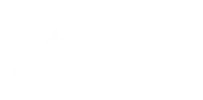 Stake logo oficial